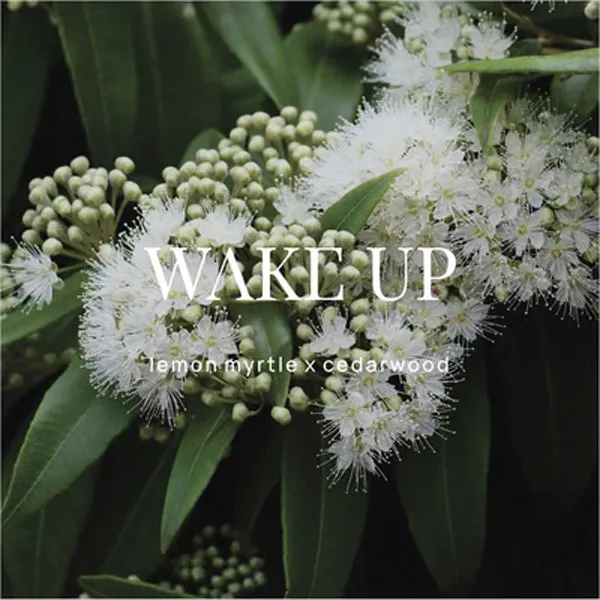 Shower Steamer - Wake Up